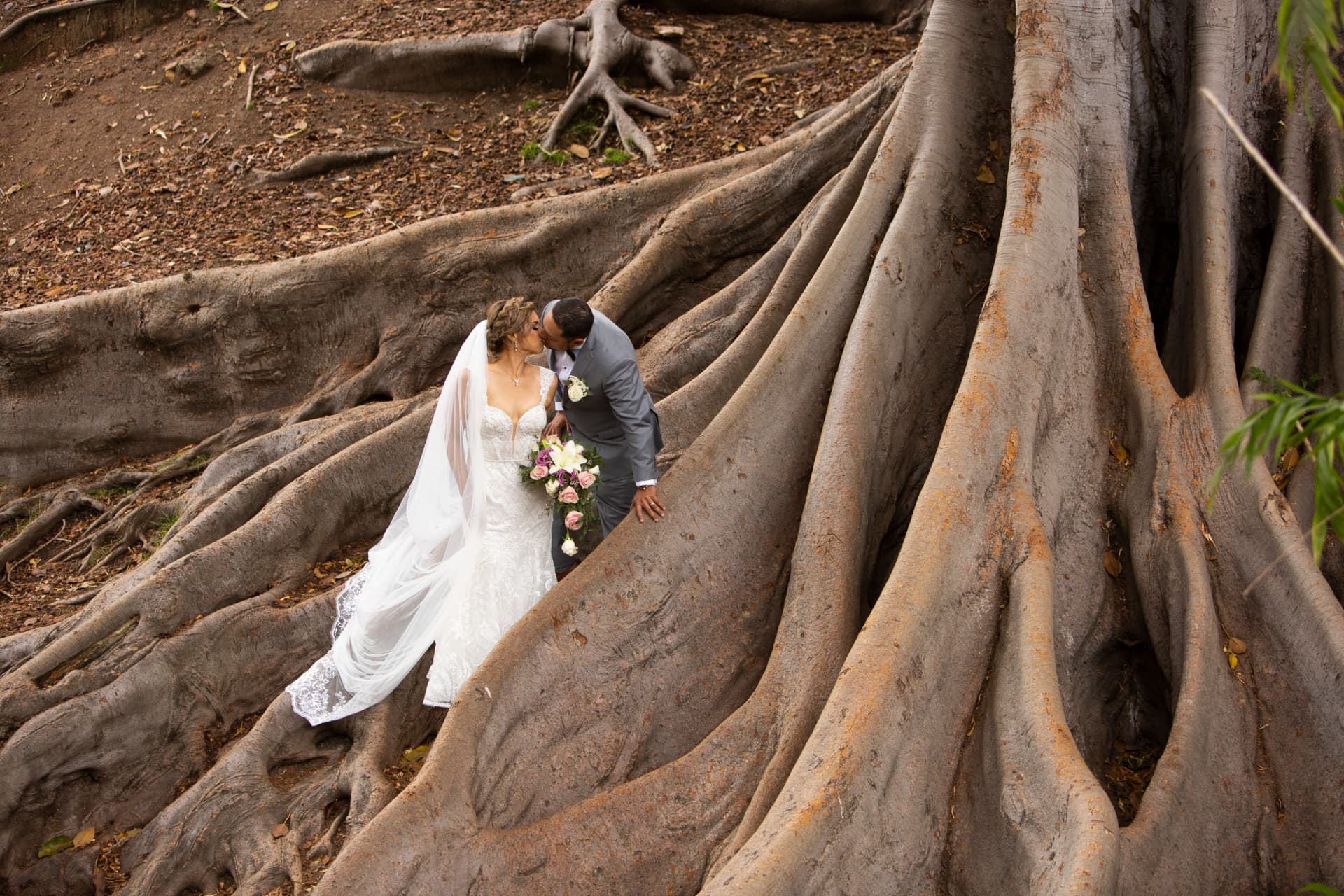 Bride and groom sharing a quiet moment among the sculptural roots of a great tree