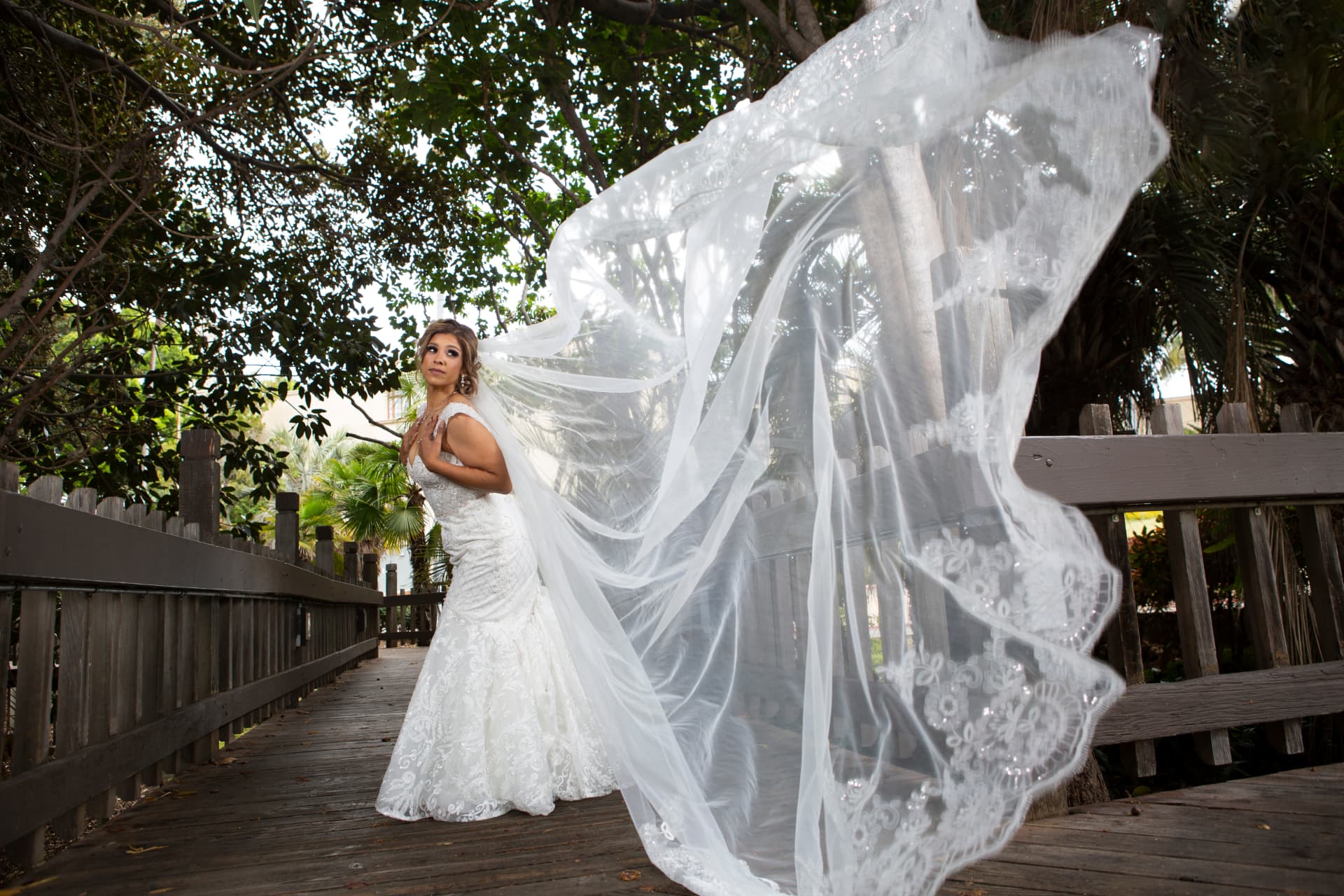 Bride standing on a wooden bridge beneath trees as her long lace veil billows overhead