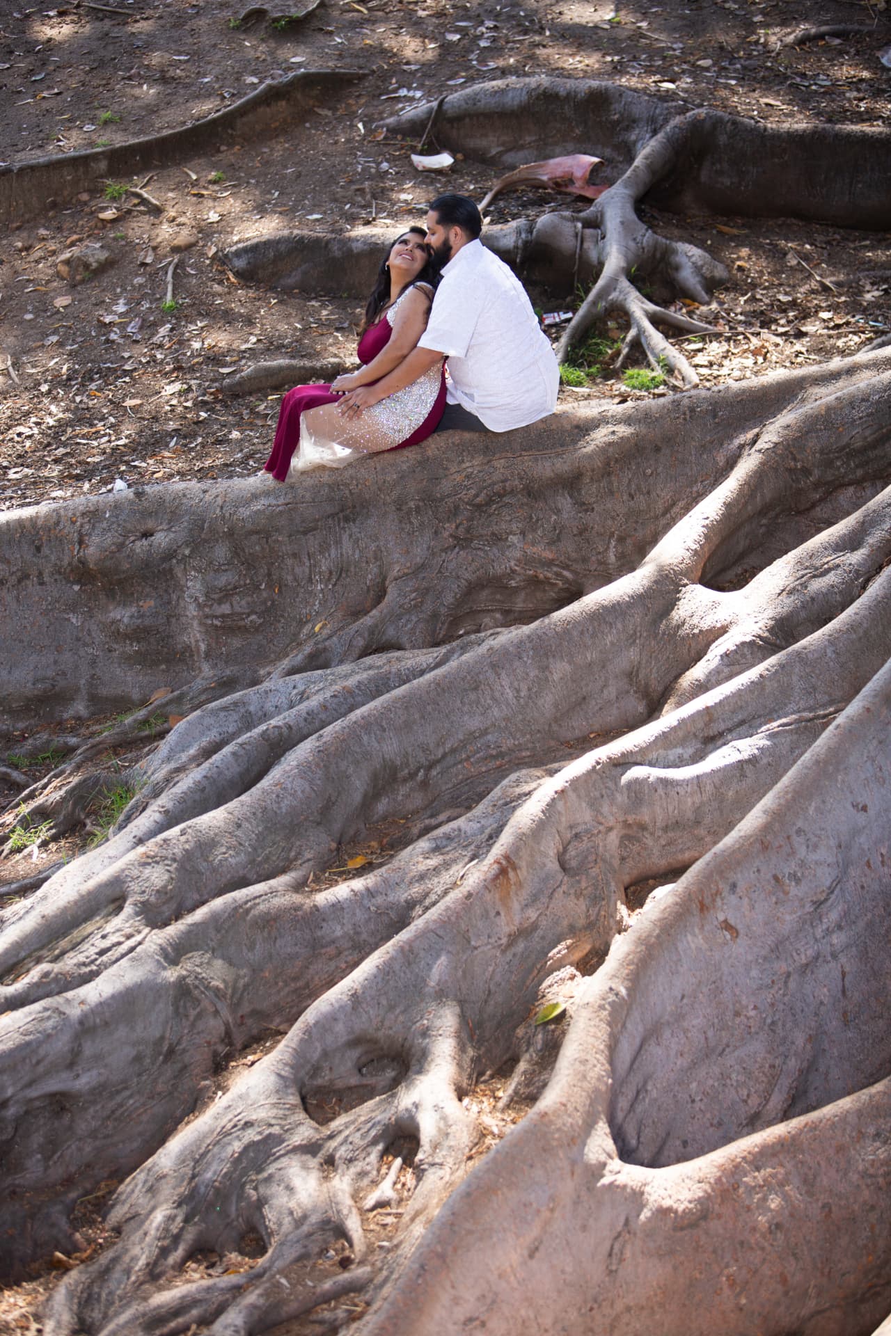 Engaged couple nestled together among sweeping tree roots
