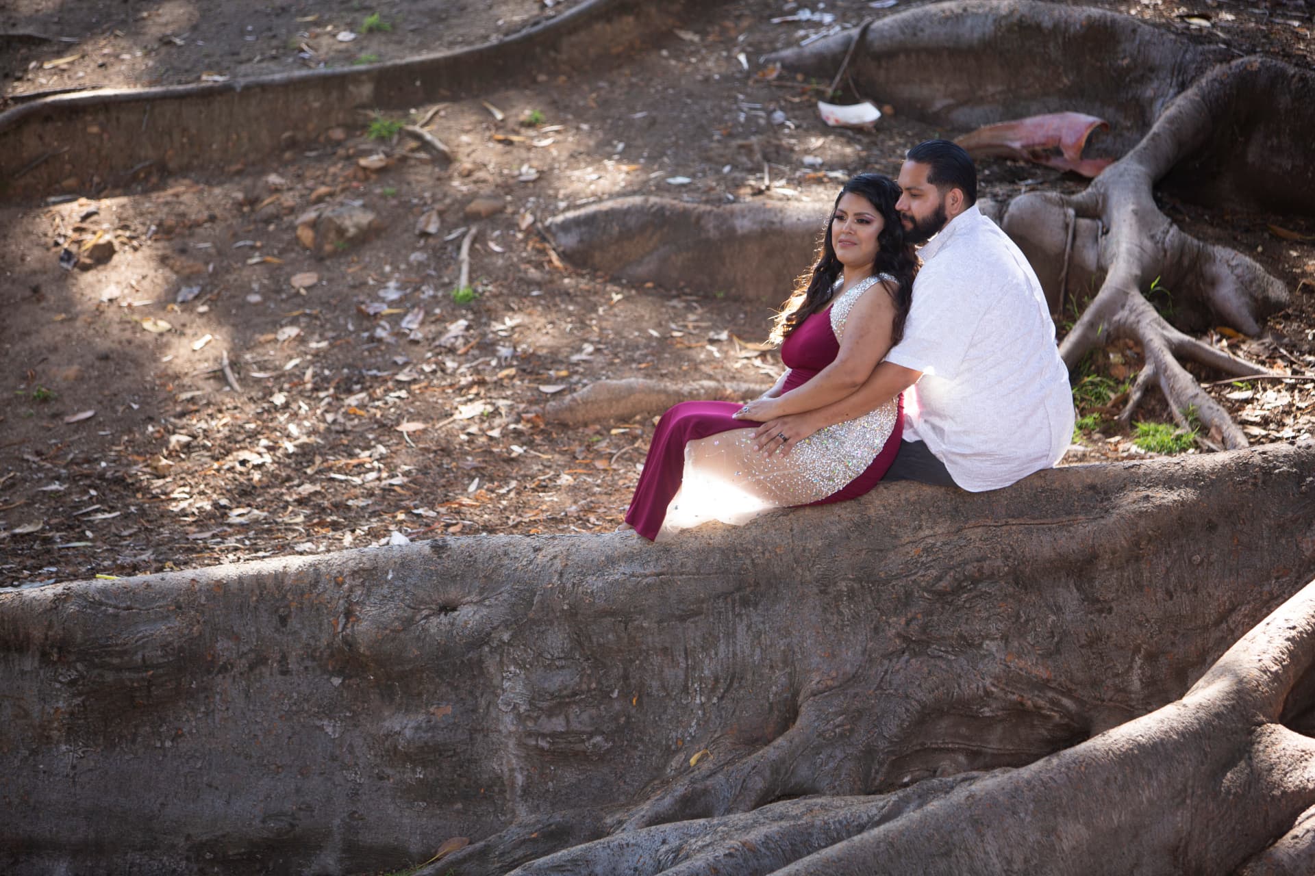Engaged couple seated together among the roots of an old tree