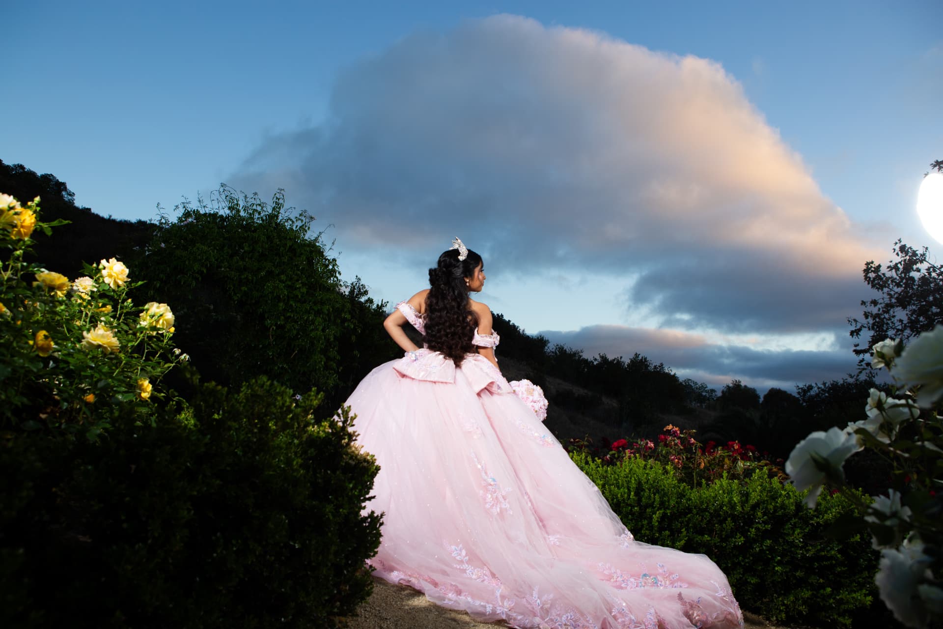 Quinceañera in a pink gown seen from behind in a rose garden under a dramatic sunset sky